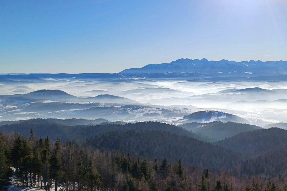 Panorama Tatr z Kluszkowców